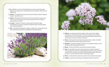 Load image into Gallery viewer, Green Witchcraft: Magical Ways to Walk Softly on the Earth