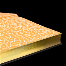 Load image into Gallery viewer, Egyptian Book Of The Dead (Arcturus Gilded Classics)