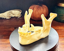 Load image into Gallery viewer, Human Jaw Bone Phone and Charger Stand