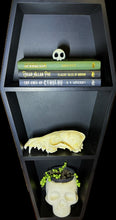 Load image into Gallery viewer, Coffin Shelving Display
