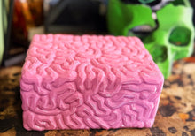 Load image into Gallery viewer, Brain Box - Creatures And Cuties