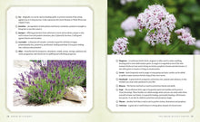 Load image into Gallery viewer, Green Witchcraft: Magical Ways to Walk Softly on the Earth - Creatures And Cuties