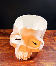 Load image into Gallery viewer, Skull Yarn Bowl - Creatures And Cuties