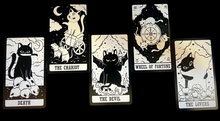 Load image into Gallery viewer, Kitten Tarot Cards (Unofficial)
