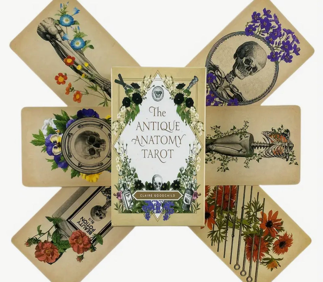 Antique Anatomy Tarot Cards