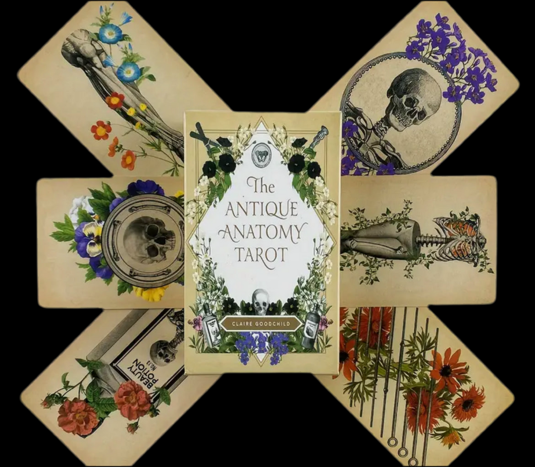 Antique Anatomy Tarot Cards (Unofficial)
