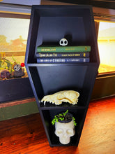 Load image into Gallery viewer, Coffin Shelving Display
