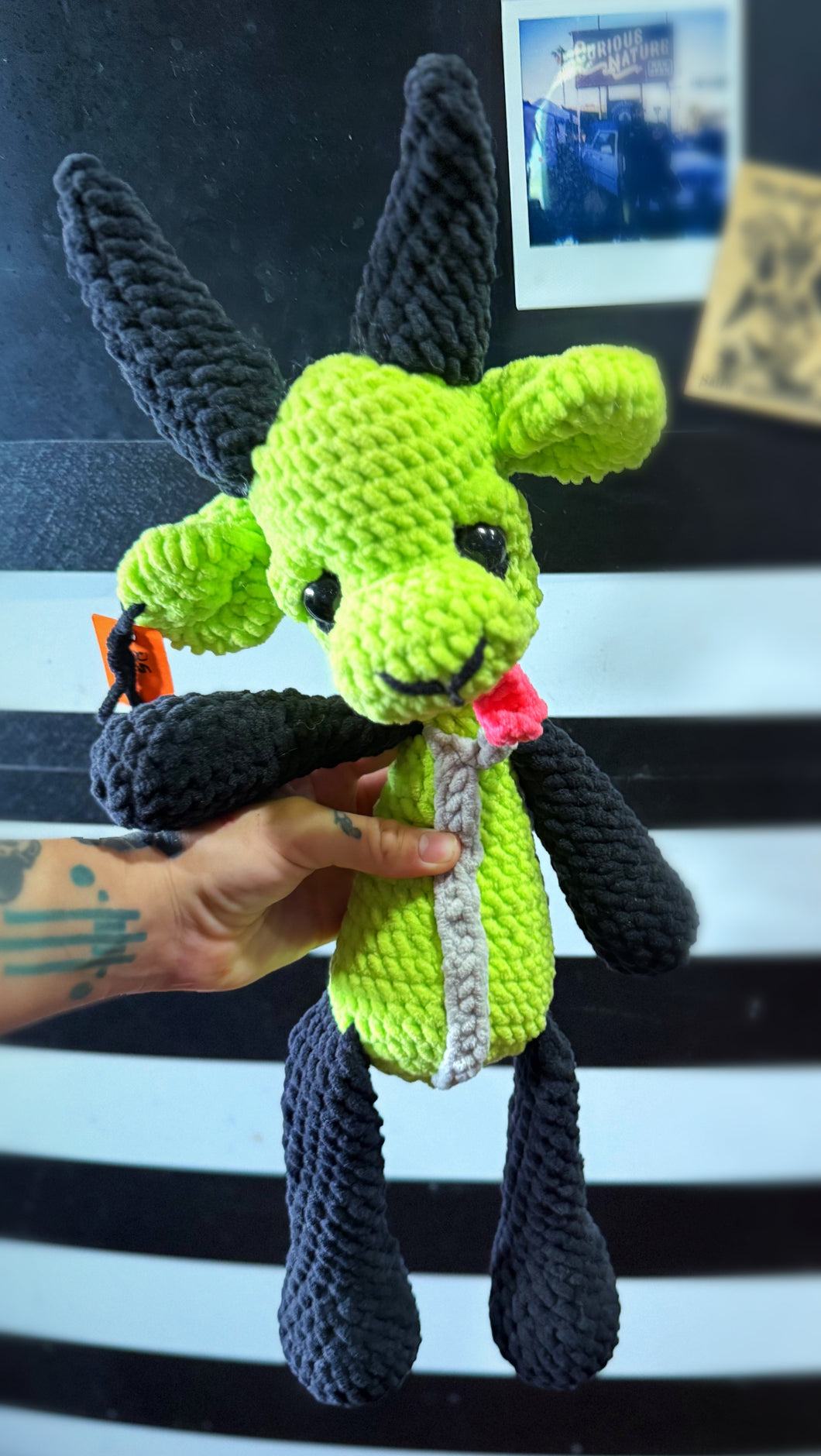 Cuddly Gir Goat