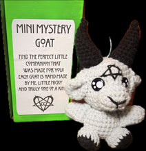 Load image into Gallery viewer, Mystery Companion
