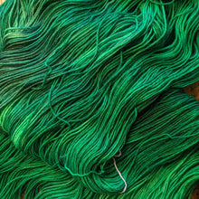 Load image into Gallery viewer, Nature: Single Skein / 100% Merino DK 100g/246yds
