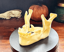 Load image into Gallery viewer, Human Jaw Bone Phone and Charger Stand - Creatures And Cuties
